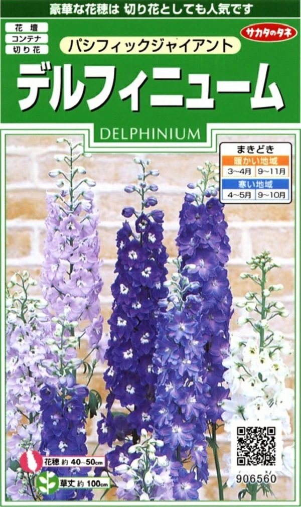 デルフィニウム　パシフィックジャイアント