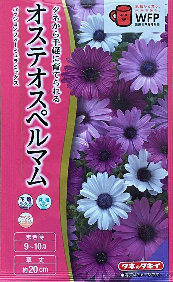 オステオスペルマムフォーミュラミックス