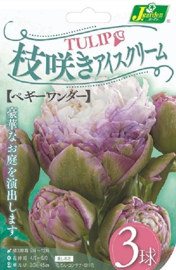 枝咲アイスクリーム ペギーワンダー