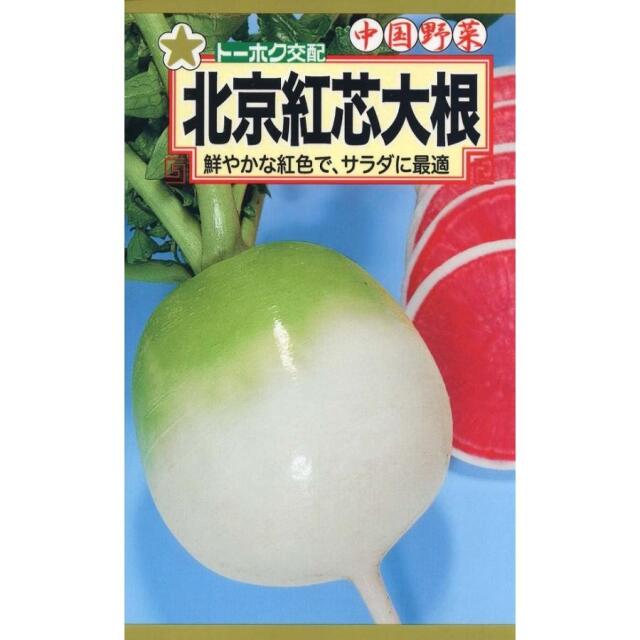 北京紅芯大根