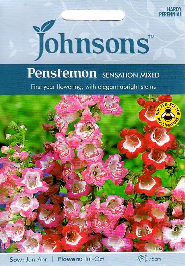 ペンステモン・センセーション・ミックス