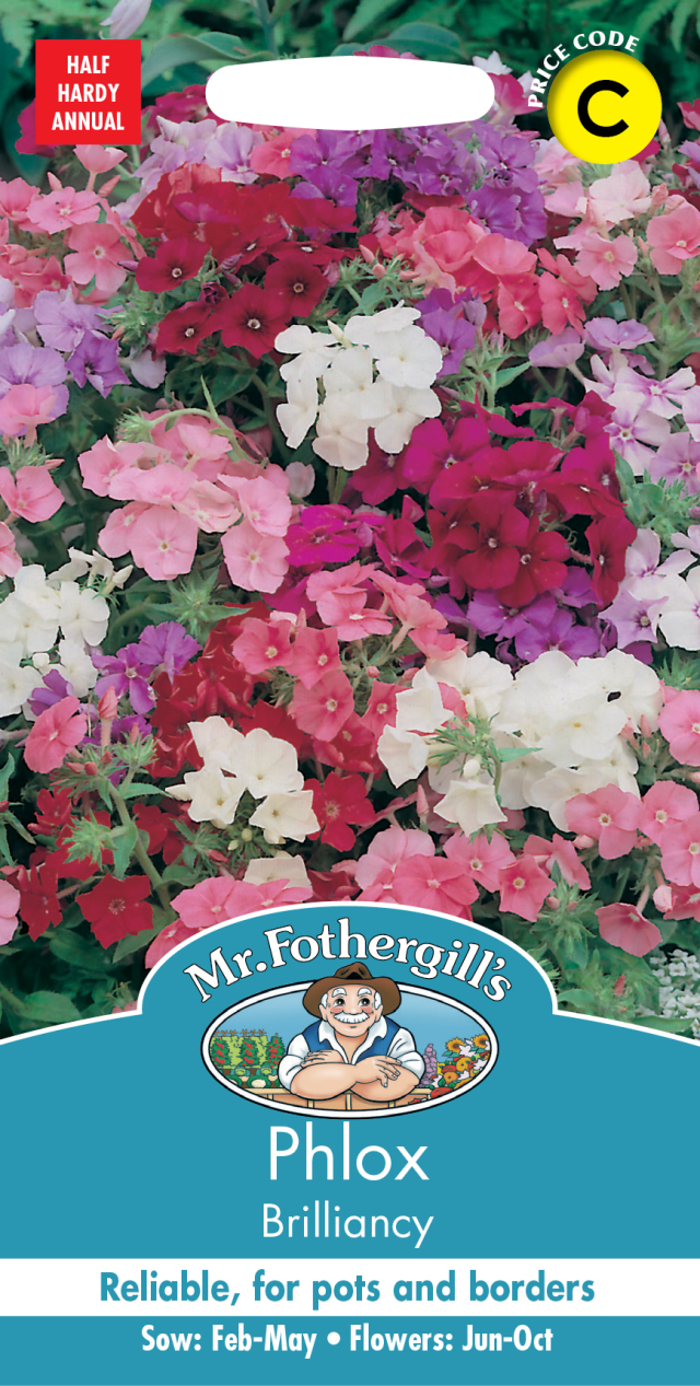 フロックス・ブリリアンシー