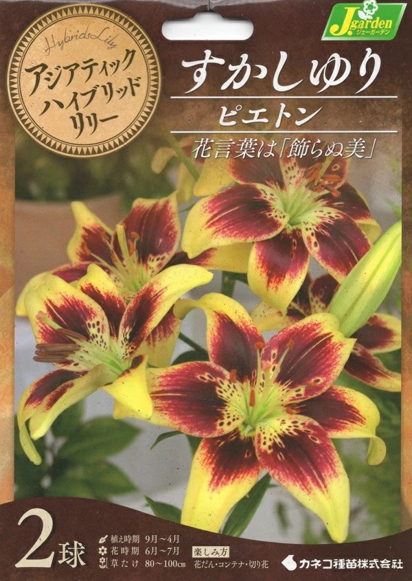 すかしゆりピエトン