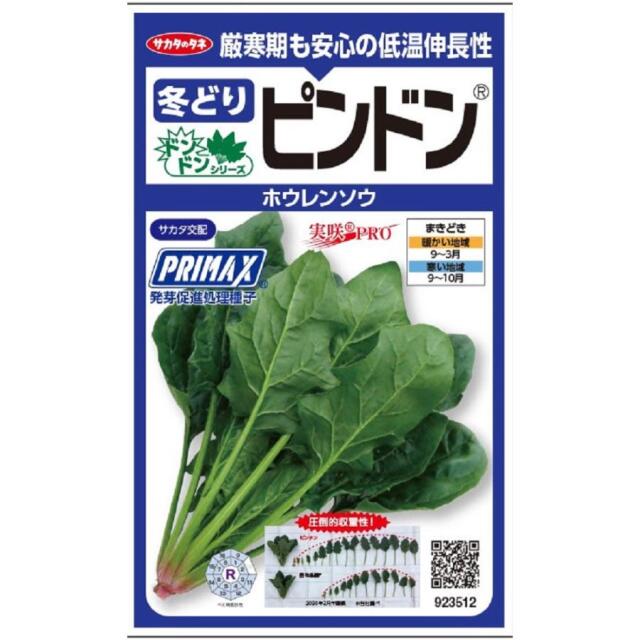 ピンドン