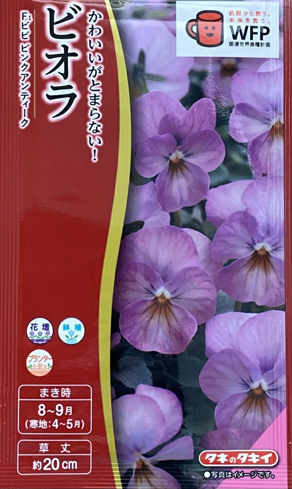 ビオラビビピンクアンティーク