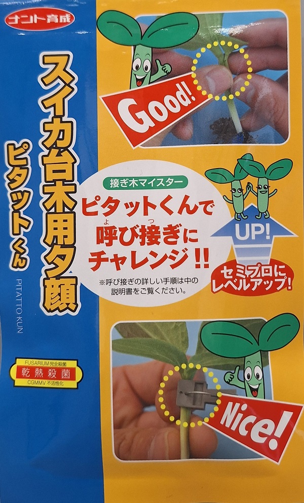 スイカ台木用夕顔　ピタットくん