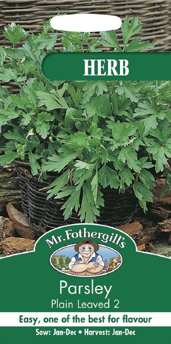 Parsley Plain Leaved 2 ハーブ パセリ・プレイン・リーブ2