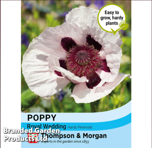 ポピー オリエンタル ロイヤルウェディング