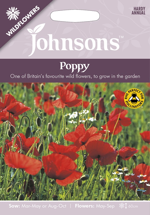 poppy-wildflower