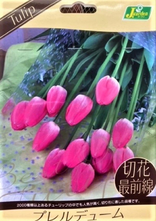 切花最前線プレルデューム