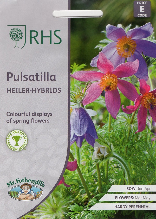 pulsatilla