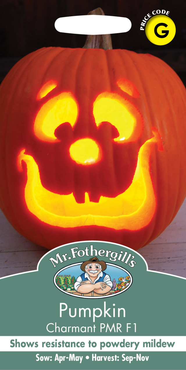 pumpkin-charmant