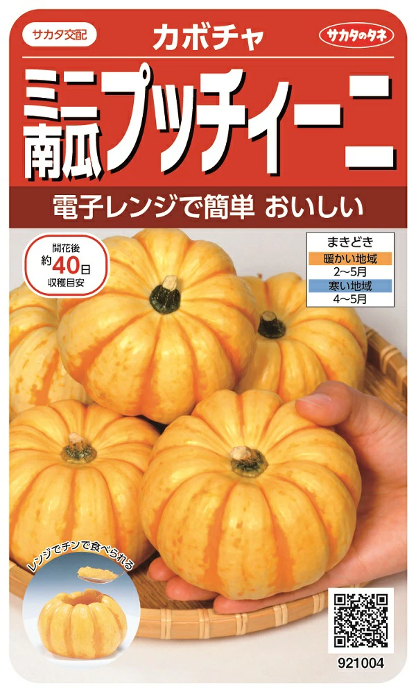 ミニ南瓜 プッチィーニ