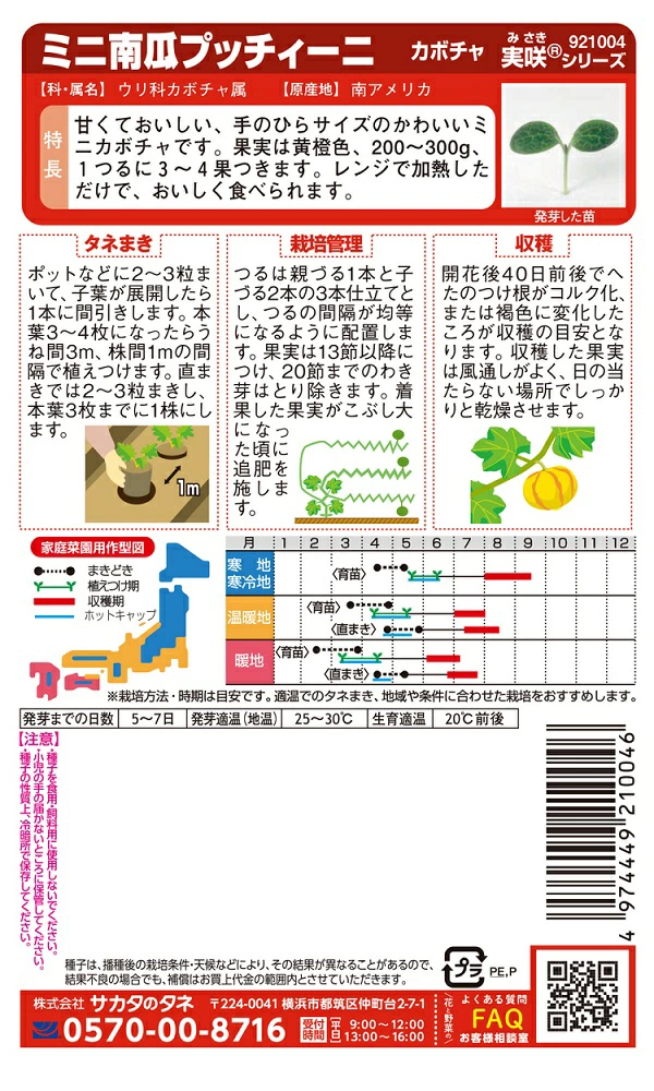 ミニ南瓜プッチィーニ