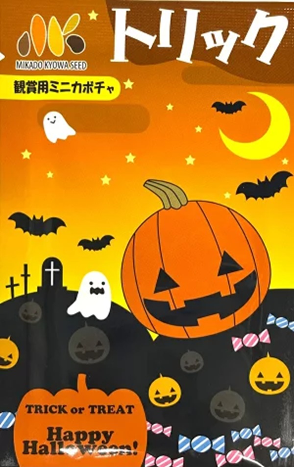 pumpkin