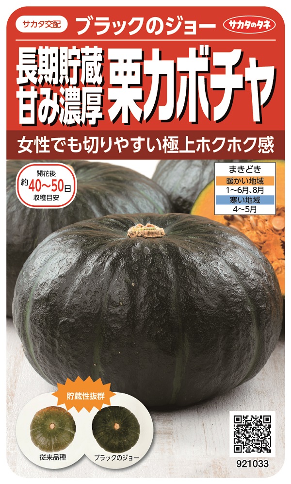 栗カボチャブラックのジョー