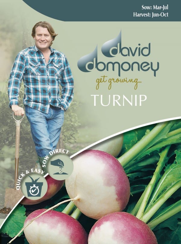 david domoney