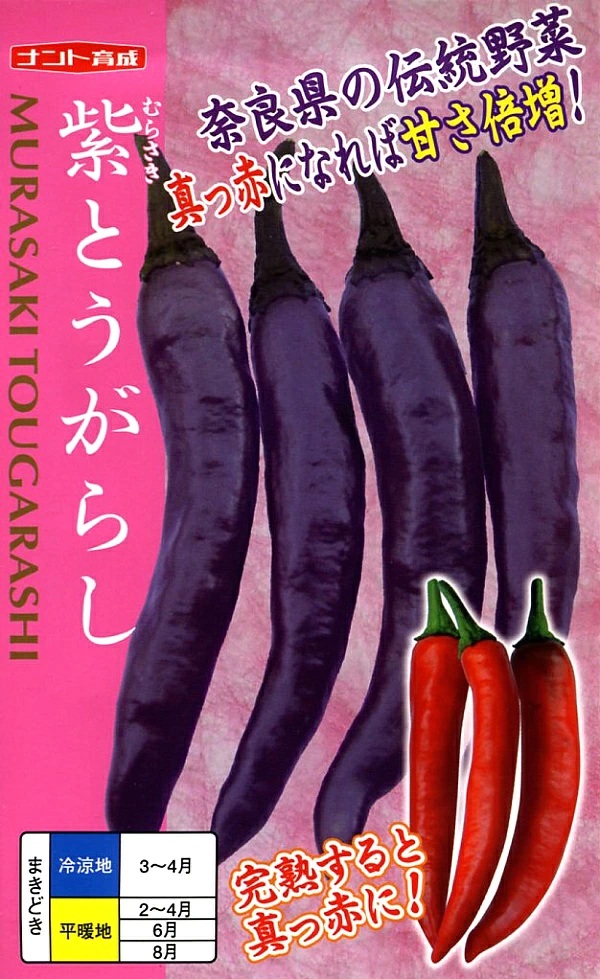 紫とうがらし
