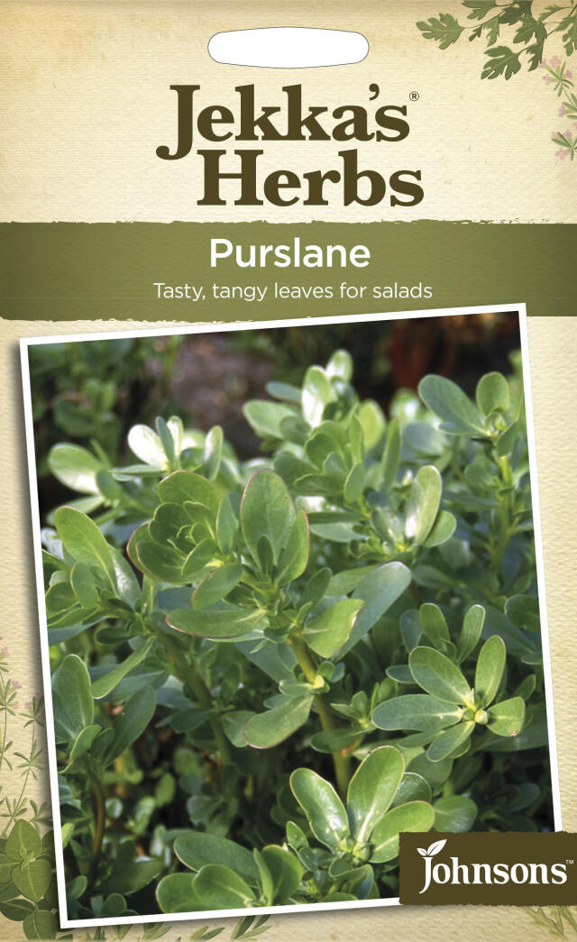 purslane