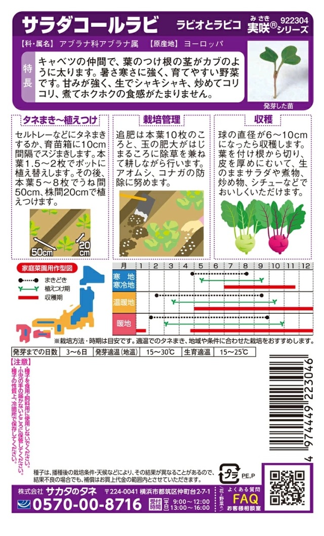 ラビオとラビコ