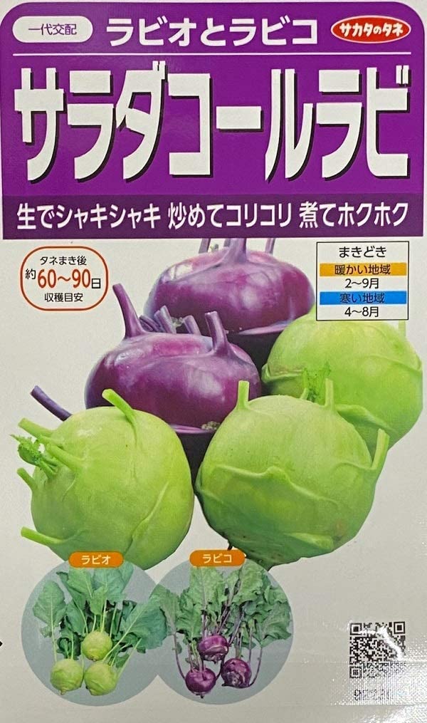 ラビオとラビコ　サラダコールラビ