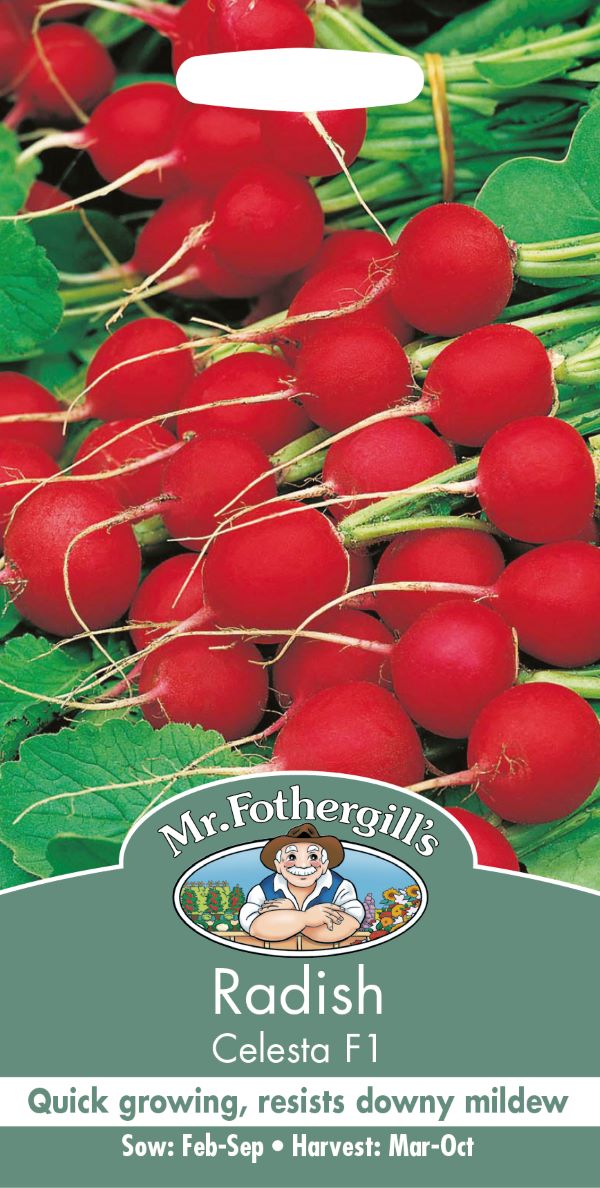 radish-celesta