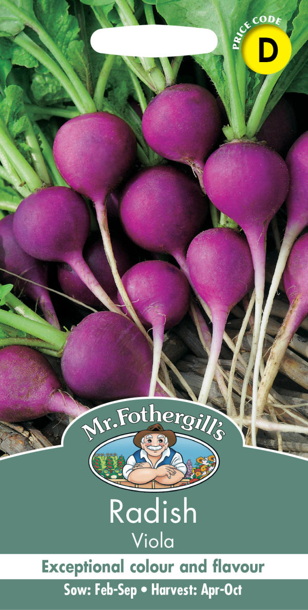 ラディッシュ ビオラ