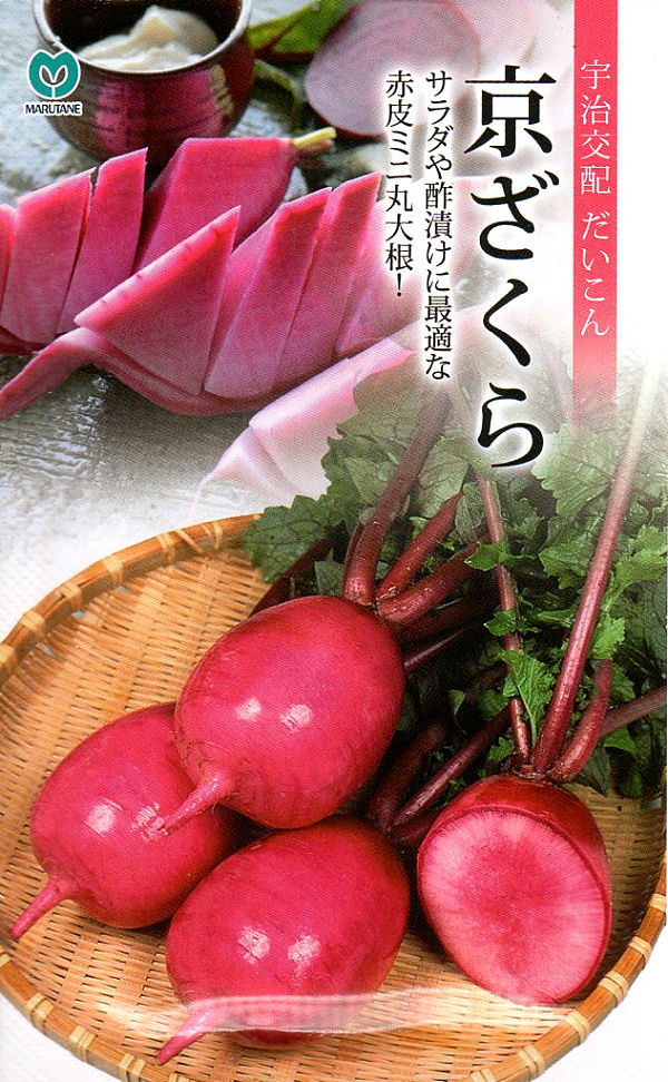 京ざくら
