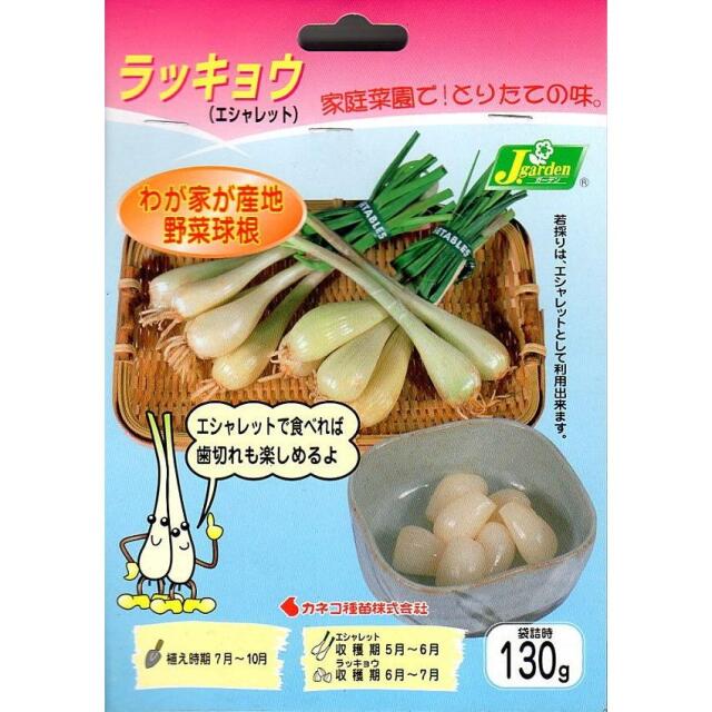 ラッキョウ