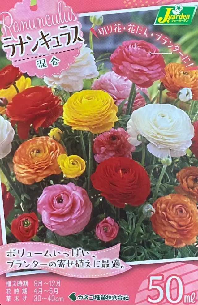 ラナンキュラス 混合