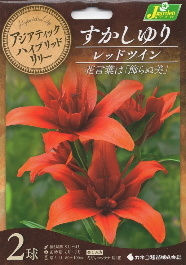 八重咲すかしゆり レッドツイン