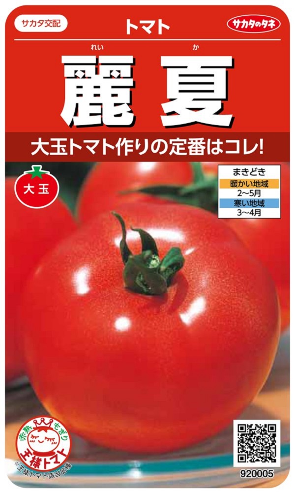 麗夏