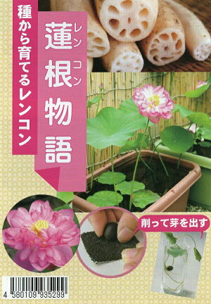 蓮根物語