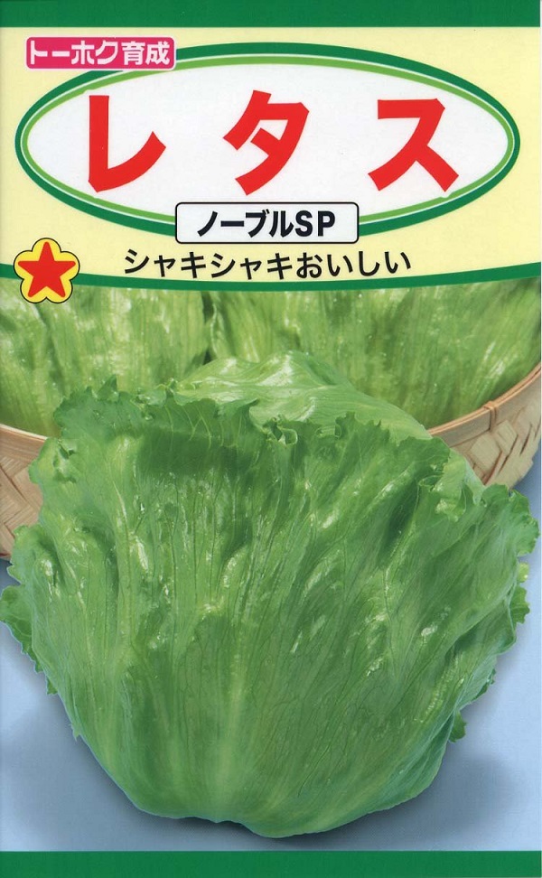 レタスノーブルSP