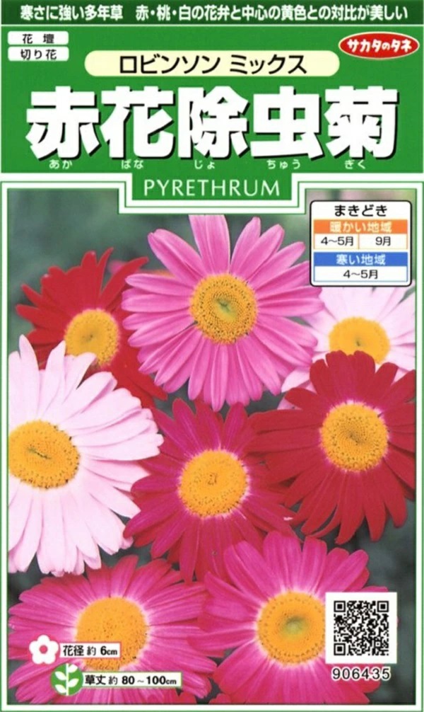 赤花除虫菊　ロビンソンミックス