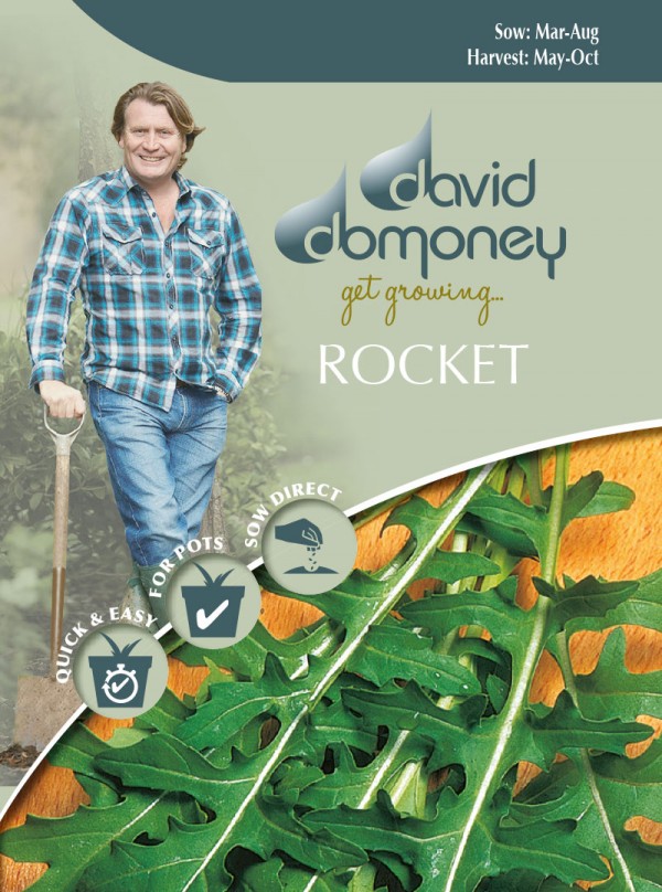ROCKET Runway