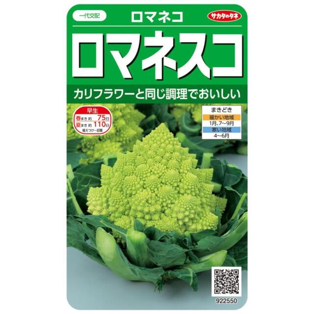 ロマネスコロマネコ
