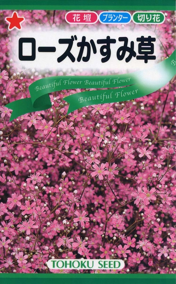 ローズかすみ草