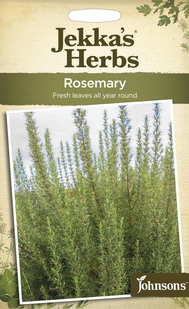 rosemary