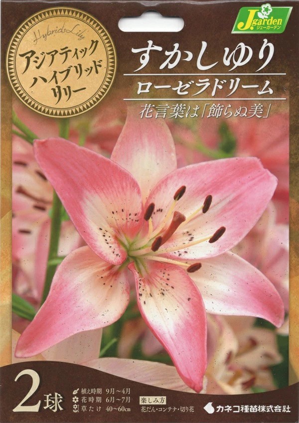 すかしゆりローゼラドリーム