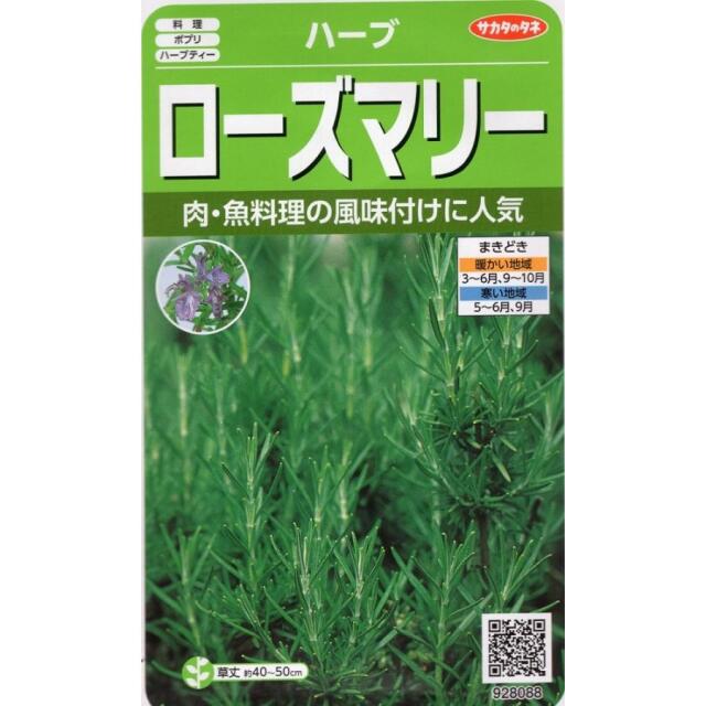 ローズマリーサカタ
