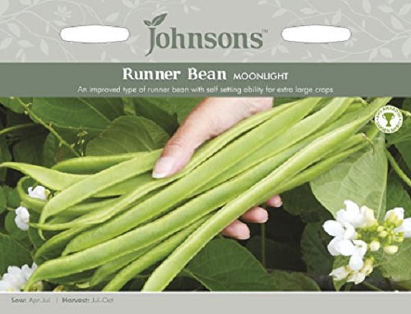 ランナー・ビーン・ムーンライト