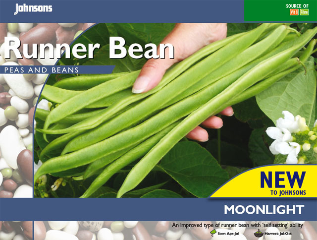 ランナー・ビーン・ムーンライト