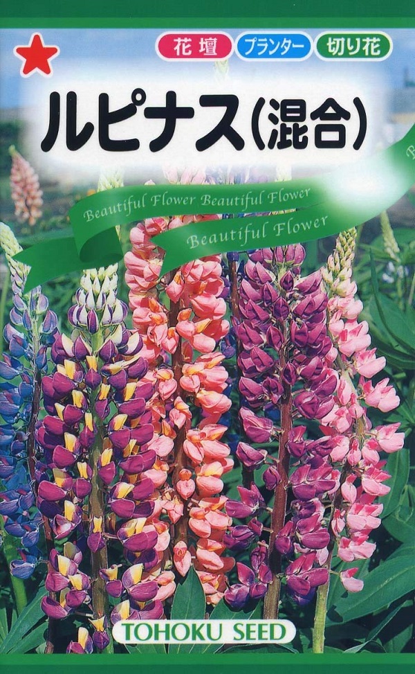 ルピナス