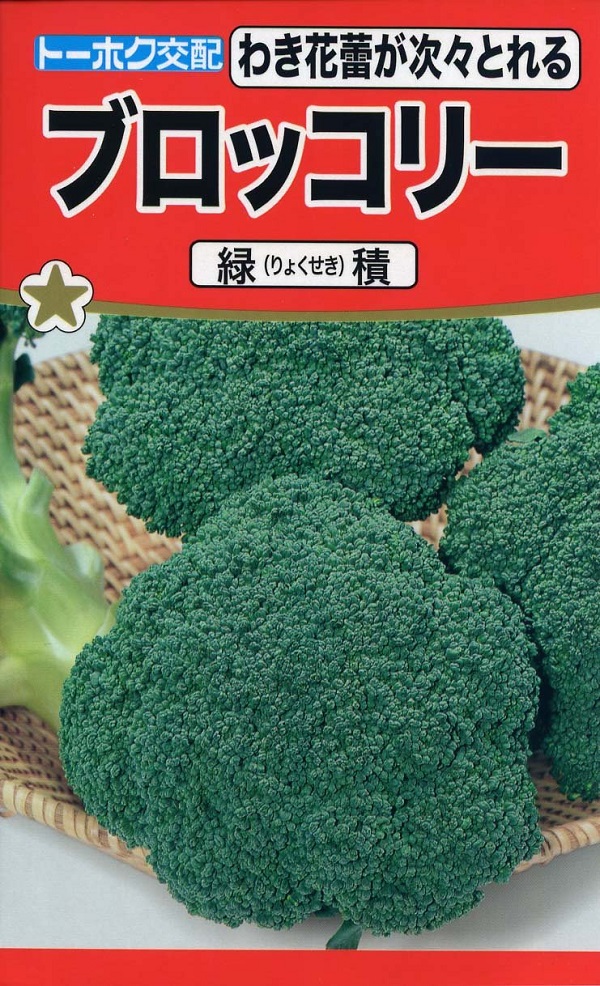 緑積