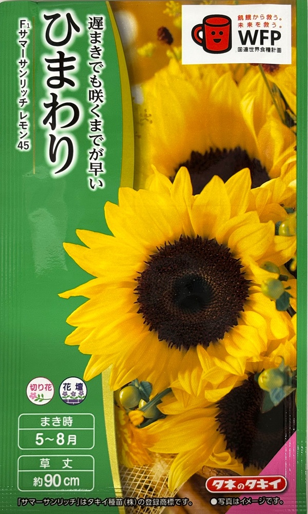 サマーサンリッチレモン45