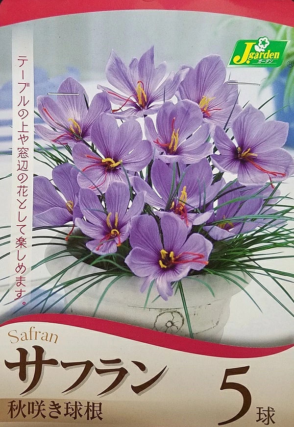 サフラン