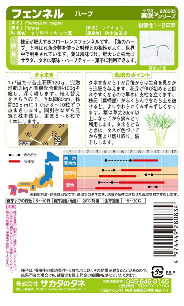 フェンネル
