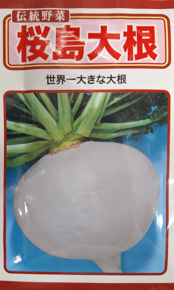 野菜種子 伝統野菜 桜島大根 世界一大きな大根 トーホクのタネ