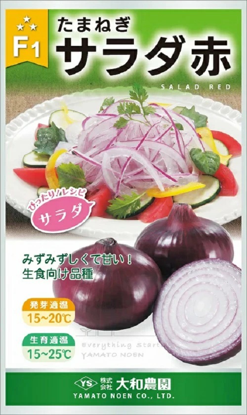 たまねぎ　サラダ赤